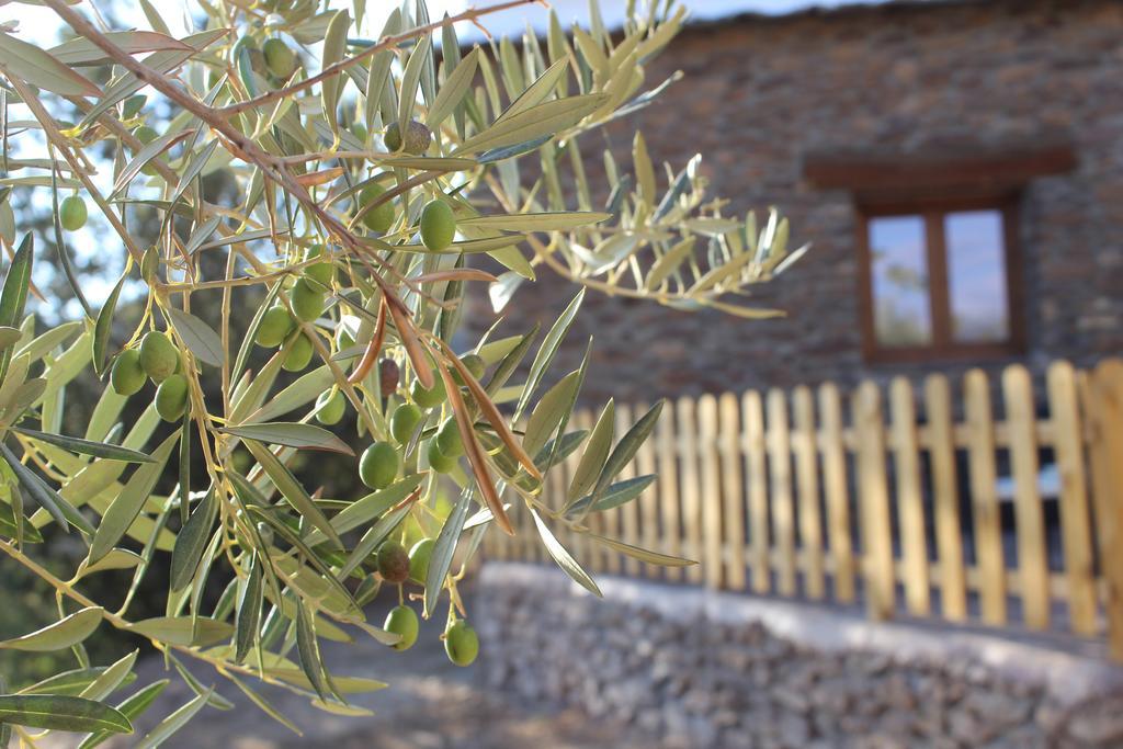 Ferienwohnung Dreams Alpujarra Pampaneira Exterior foto